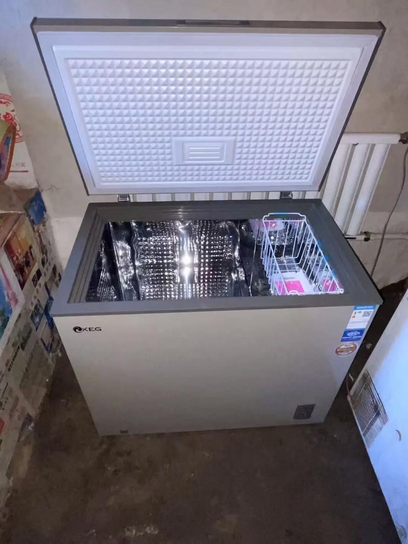 韓電一級(jí)耗能食品級(jí)不銹鋼內(nèi)膽冷柜——工廠價(jià)直供，家用電器煥新首選